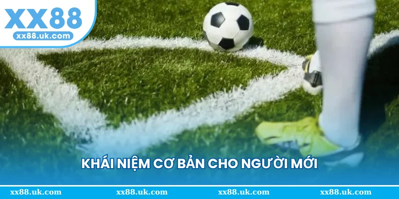 Khái niệm cơ bản cho người mới