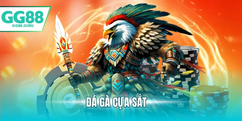 Đá Gà Cựa Sắt Kịch Tính Và Sức Hút Khó Cưỡng Đối Với Người Chơi 6 đá gà cựa sắt